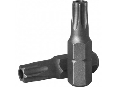 Вставка-бита 1/4"DRx25 мм T-TORX T 15 H, Ombra 514815 от OMBRA Вставка-бита 1/4"DRx25 мм T-TORX T 15 H, Ombra 514815